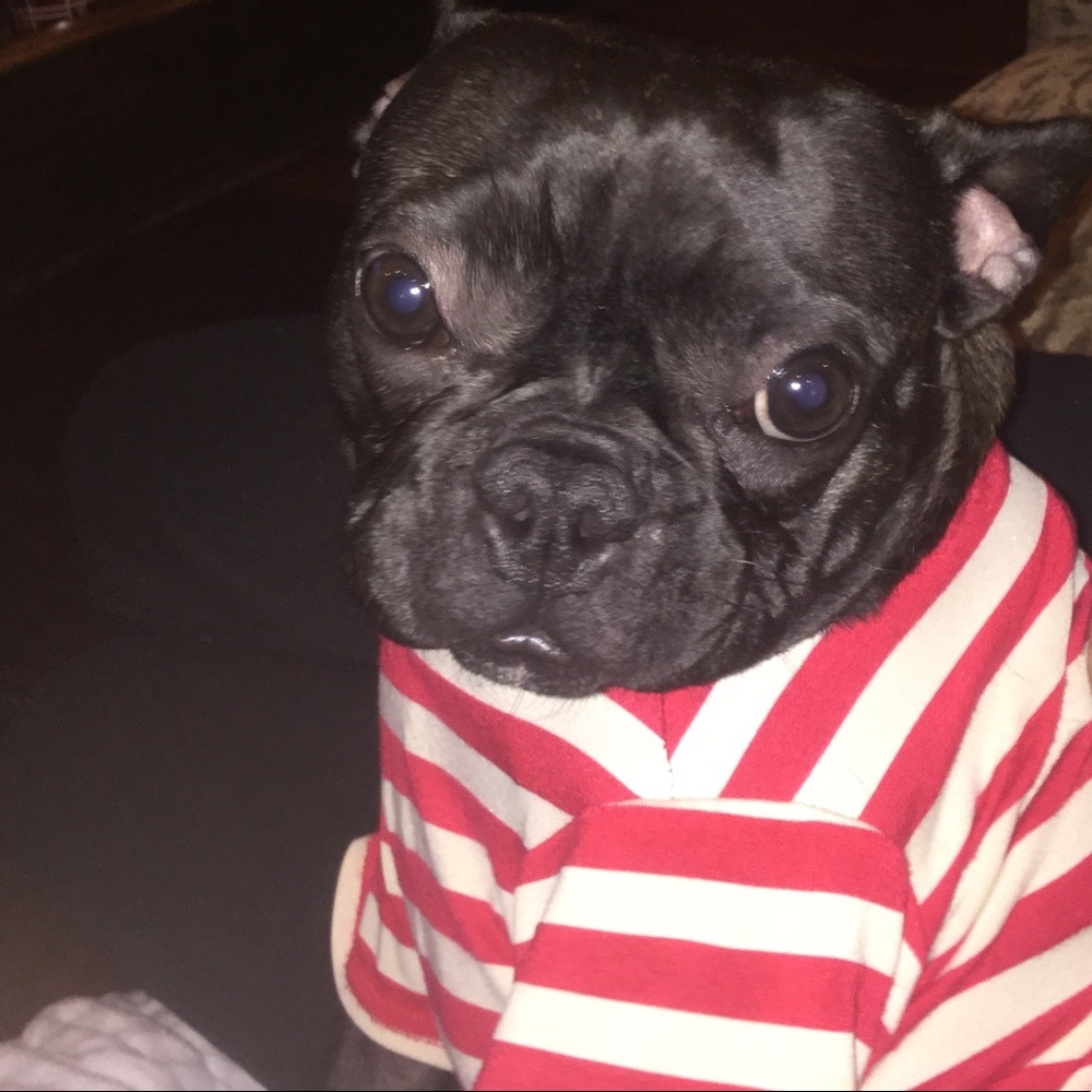 Meet your Posher, Vincent